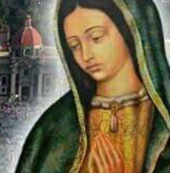 mireya_meneses